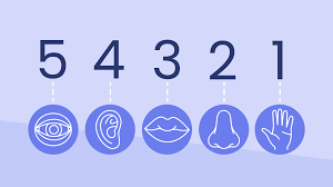 An image showing the 5 senses, See, Touch, hear, smell and taste
